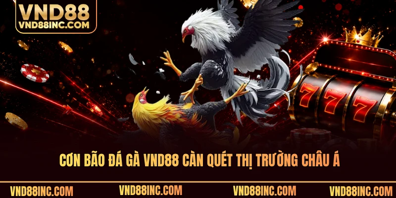 Cơn bão đá gà VND88 càn quét thị trường châu Á