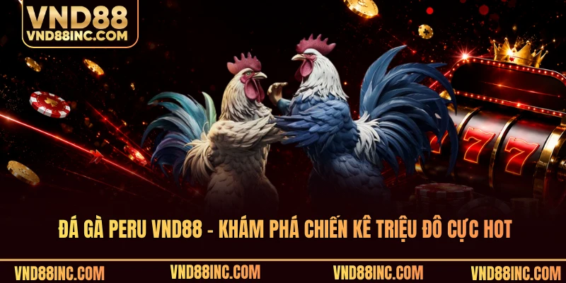 Đá Gà Peru VND88 - Khám Phá Chiến Kê Triệu Đô Cực Hot