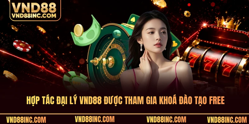 Hợp tác đại lý VND88 được tham gia khoá đào tạo free