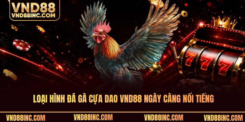 Loại hình đá gà cựa dao VND88 ngày càng nổi tiếng