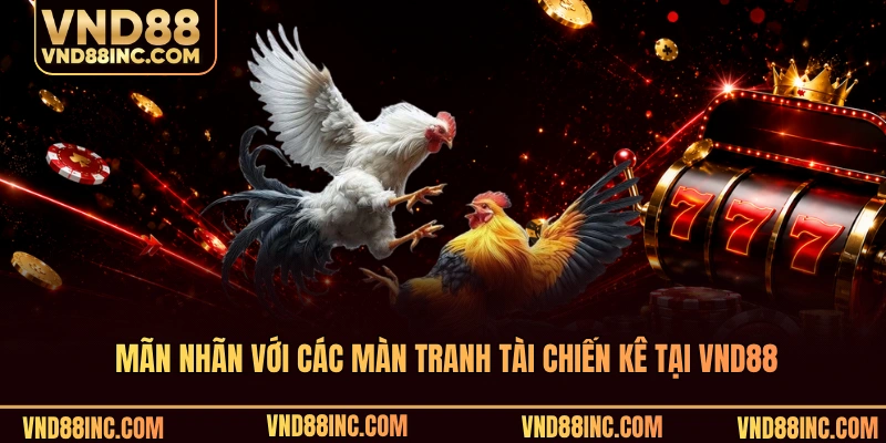 Mãn nhãn với các màn tranh tài chiến kê tại VND88