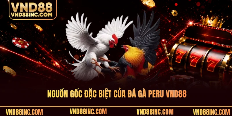 Nguồn gốc đặc biệt của đá gà Peru VND88