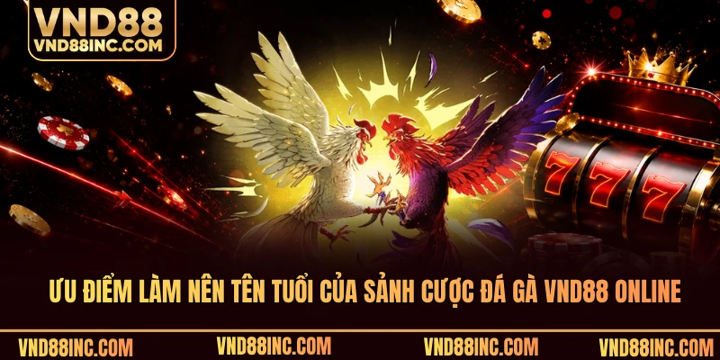 Những ưu điểm làm nên tên tuổi của sảnh cược đá gà VND88 online