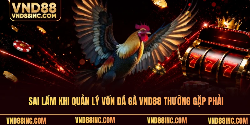 Sai lầm khi quản lý vốn đá gà VND88 thường gặp phải