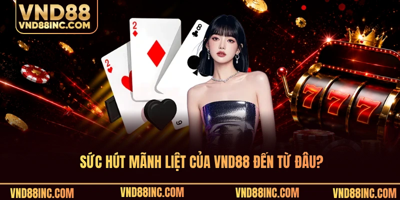 Sức hút mãnh liệt của VND88 đến từ đâu?
