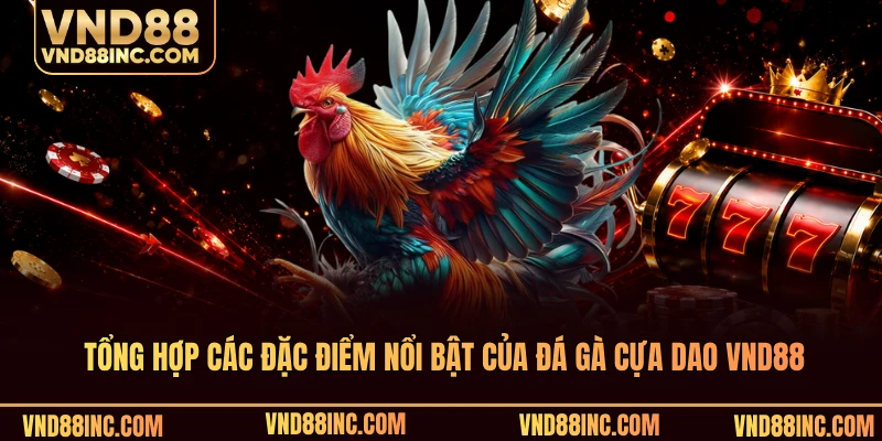 Tổng hợp các đặc điểm nổi bật của đá gà cựa dao VND88