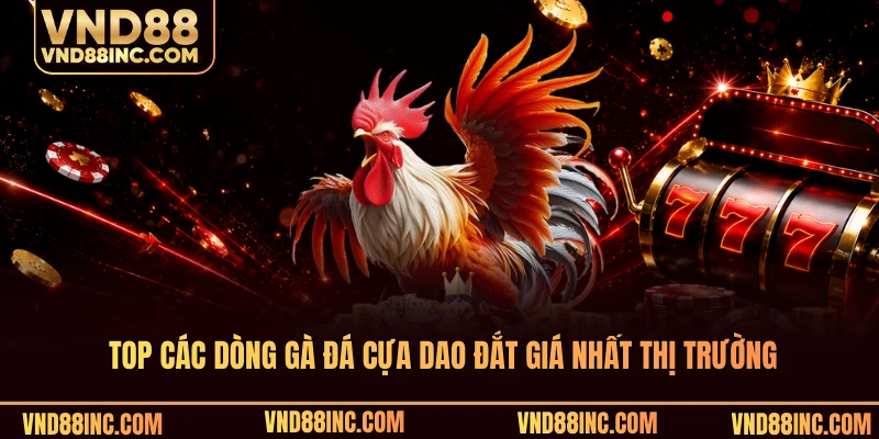 Top các dòng gà đá cựa dao đắt giá nhất thị trường