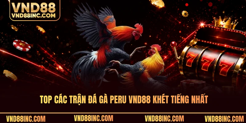Top các trận đá gà Peru VND88 khét tiếng nhất